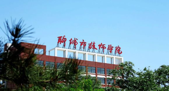 聊城市技師學院有計算機專業嗎？