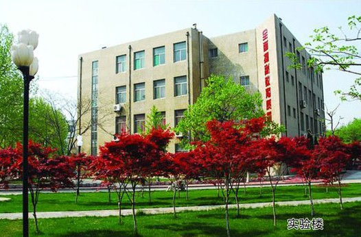 淄博市工業學校開設哪些計算機課程？